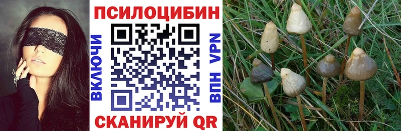 Псилоцибиновые грибы мухоморы  Купить где  Николаевск 