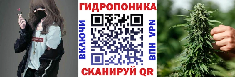 Конопля гибрид  Купить закладки  Николаевск 